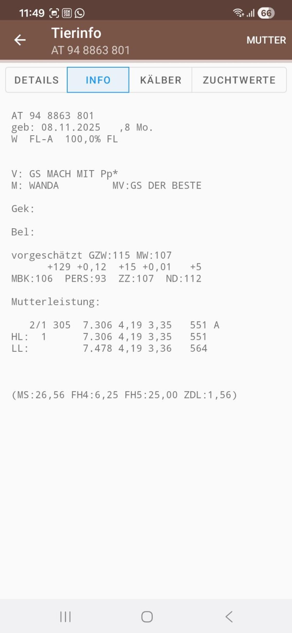 Fleckviehzuchtkälber 2