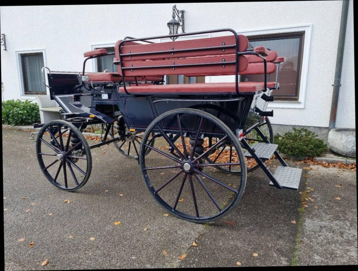 Wagonette für 8 Personen 3