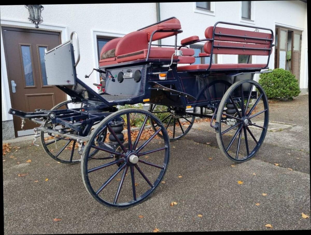 Wagonette für 8 Personen 1