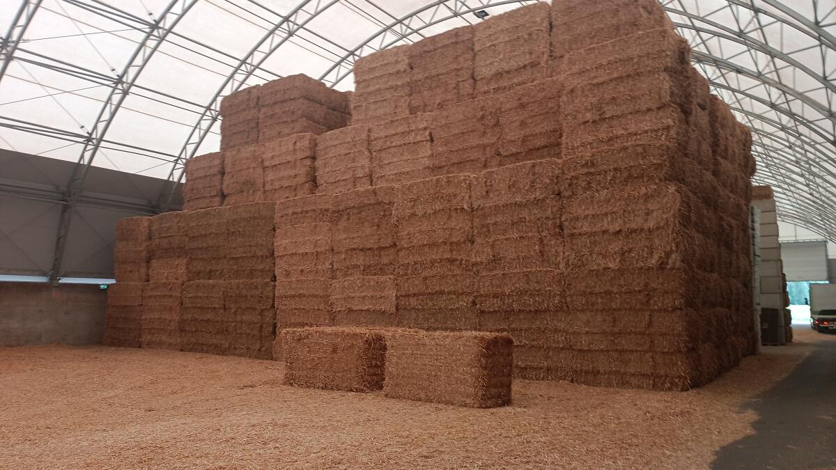 Stroh, Heu, Luzerne, Silageballen, Pellets 1