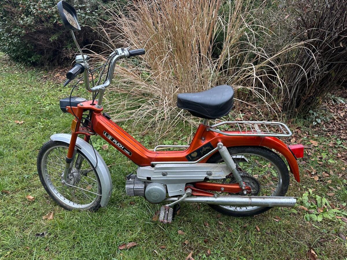 Puch Maxi L 1