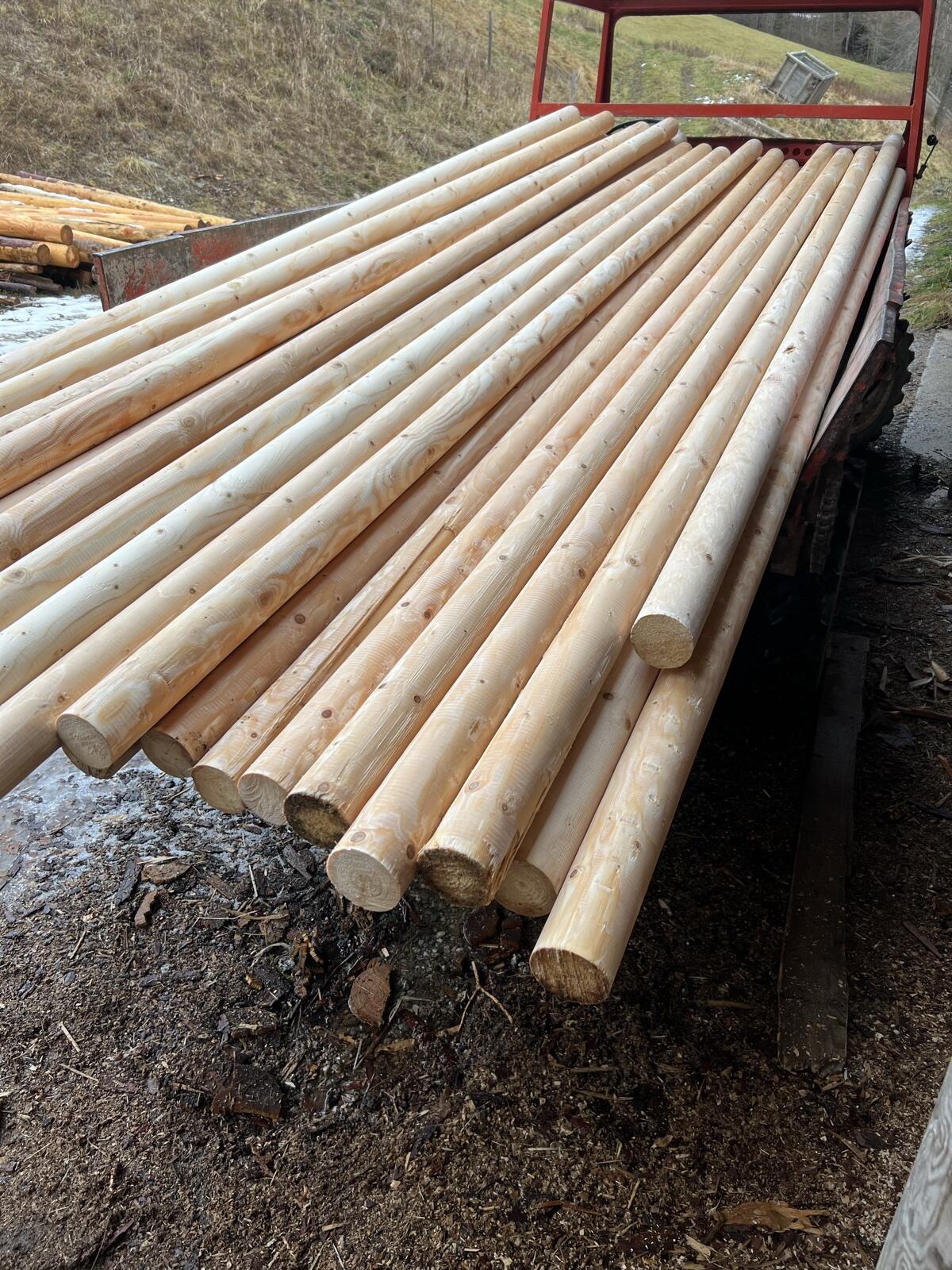 Koppel oder Zaunstangen 2