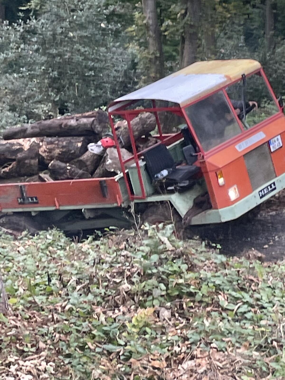 Bergtraktor Alpinist Trojer 2