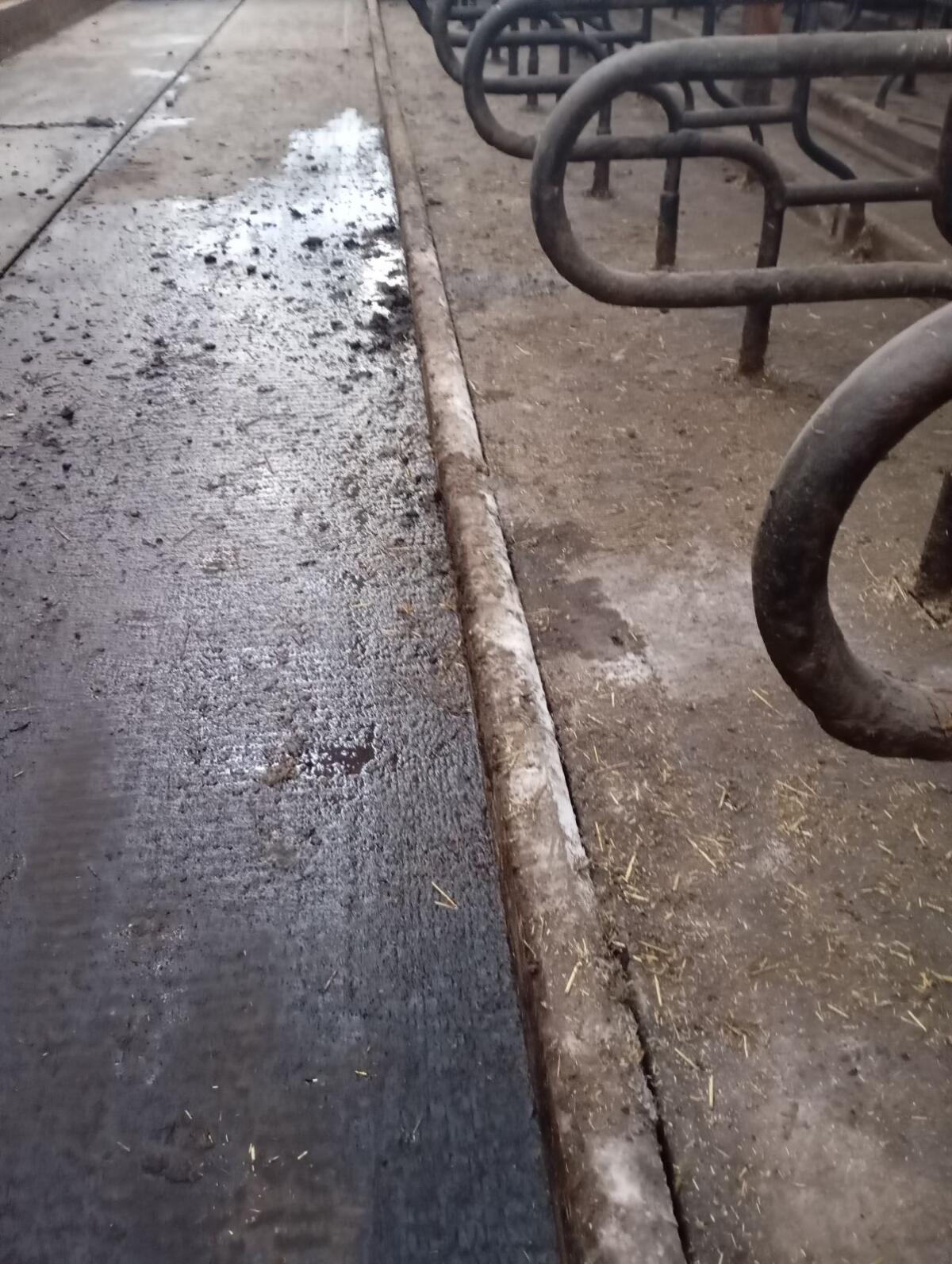 Liegeboxen Streuschwellen Beton-Kante 1