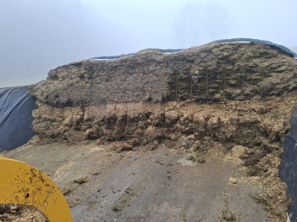 Silage ab Silo 1