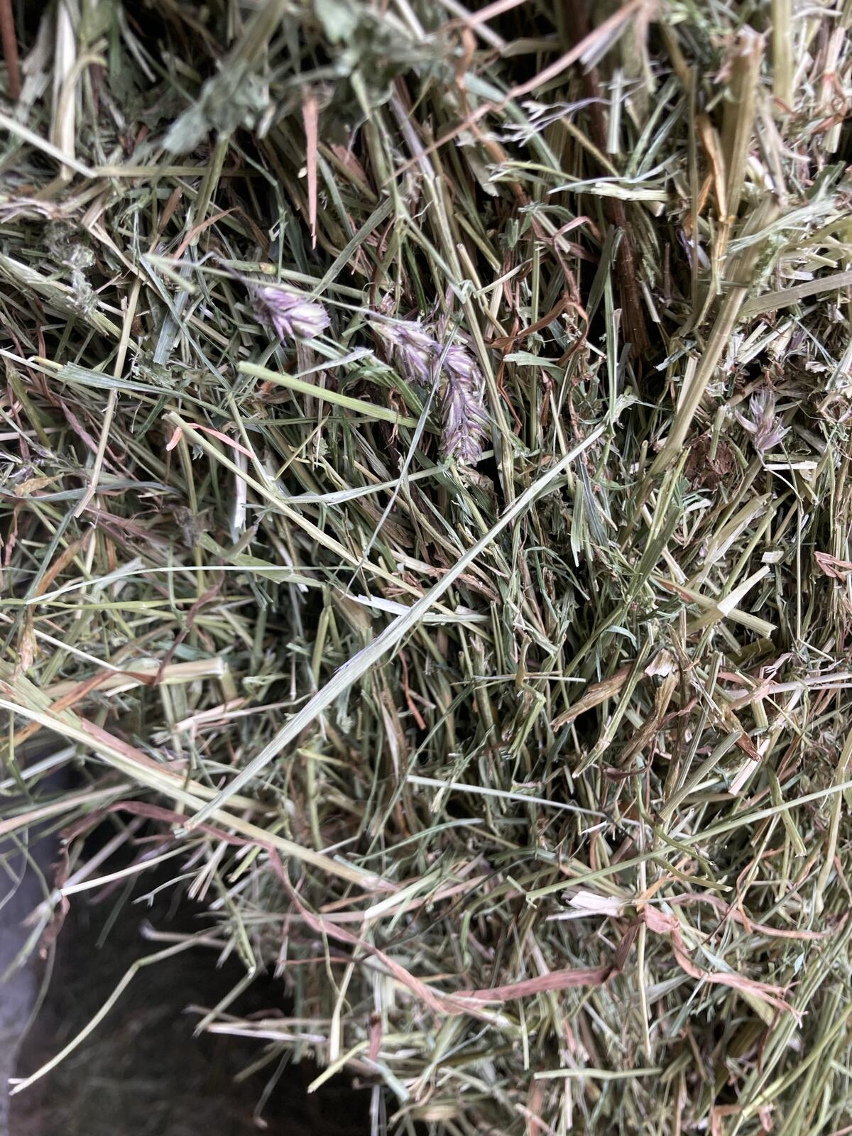 Stockbelüftetes Heu Quader- und Großballen 3