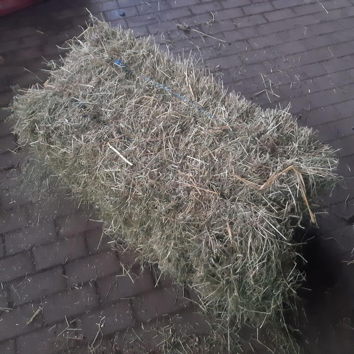 Bergwiesenheu, Heu 1