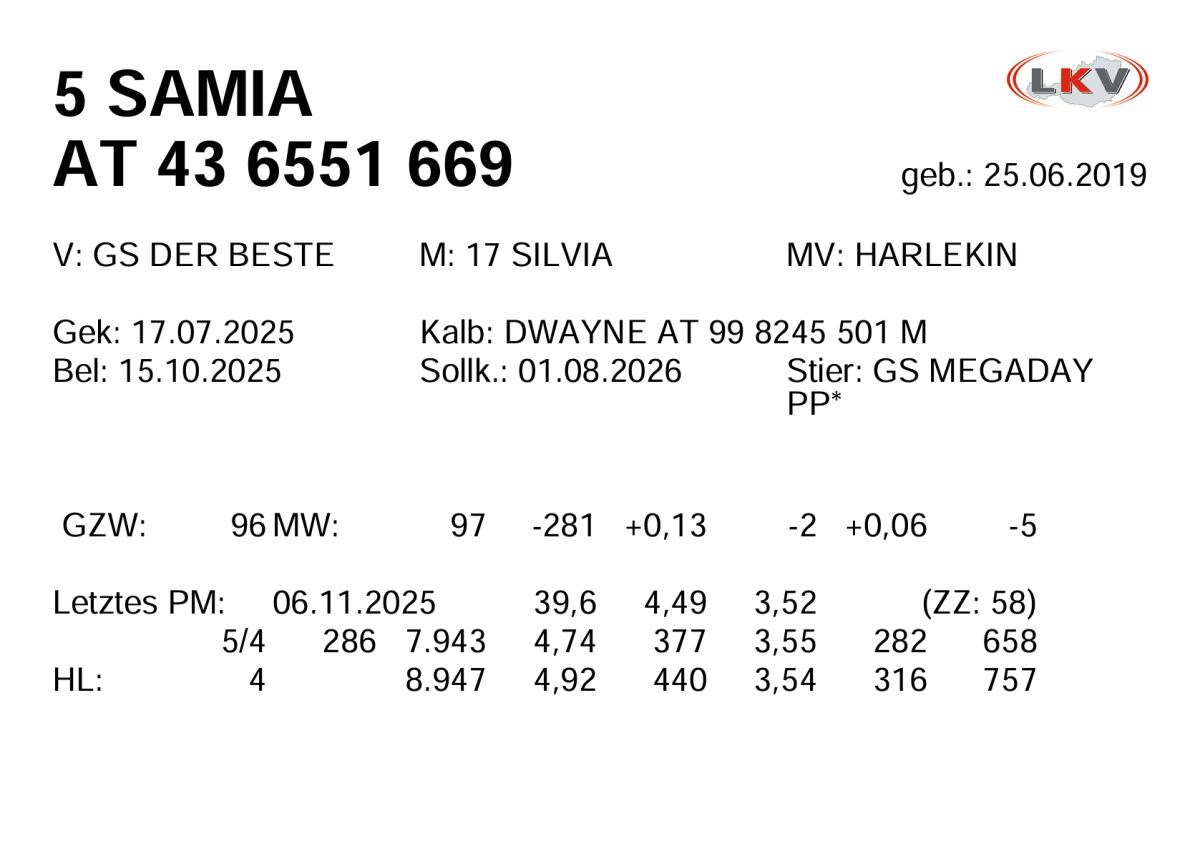 Biete Kühe und Kalbinnen zum Kauf 3