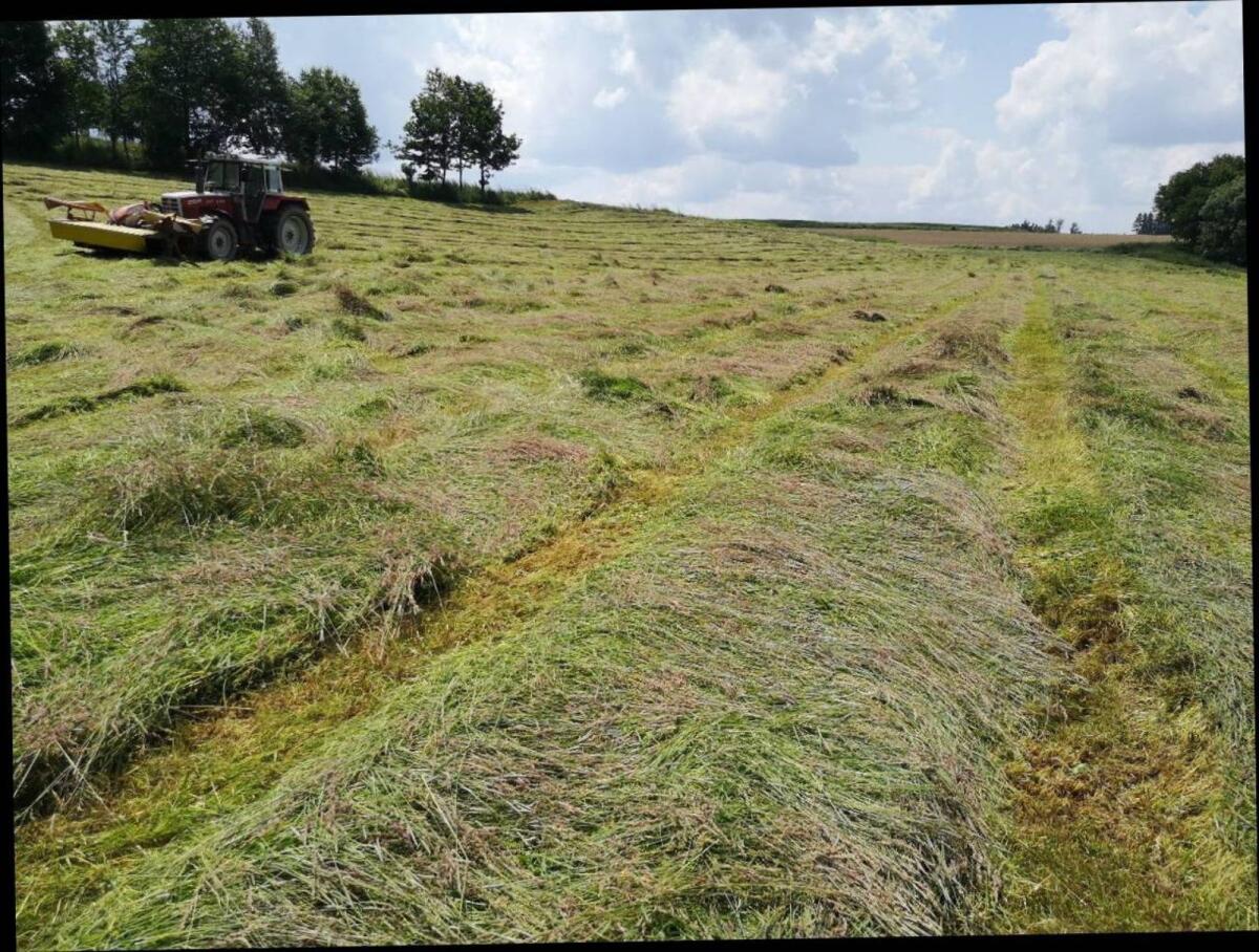 Heu Rundballen 2025 1