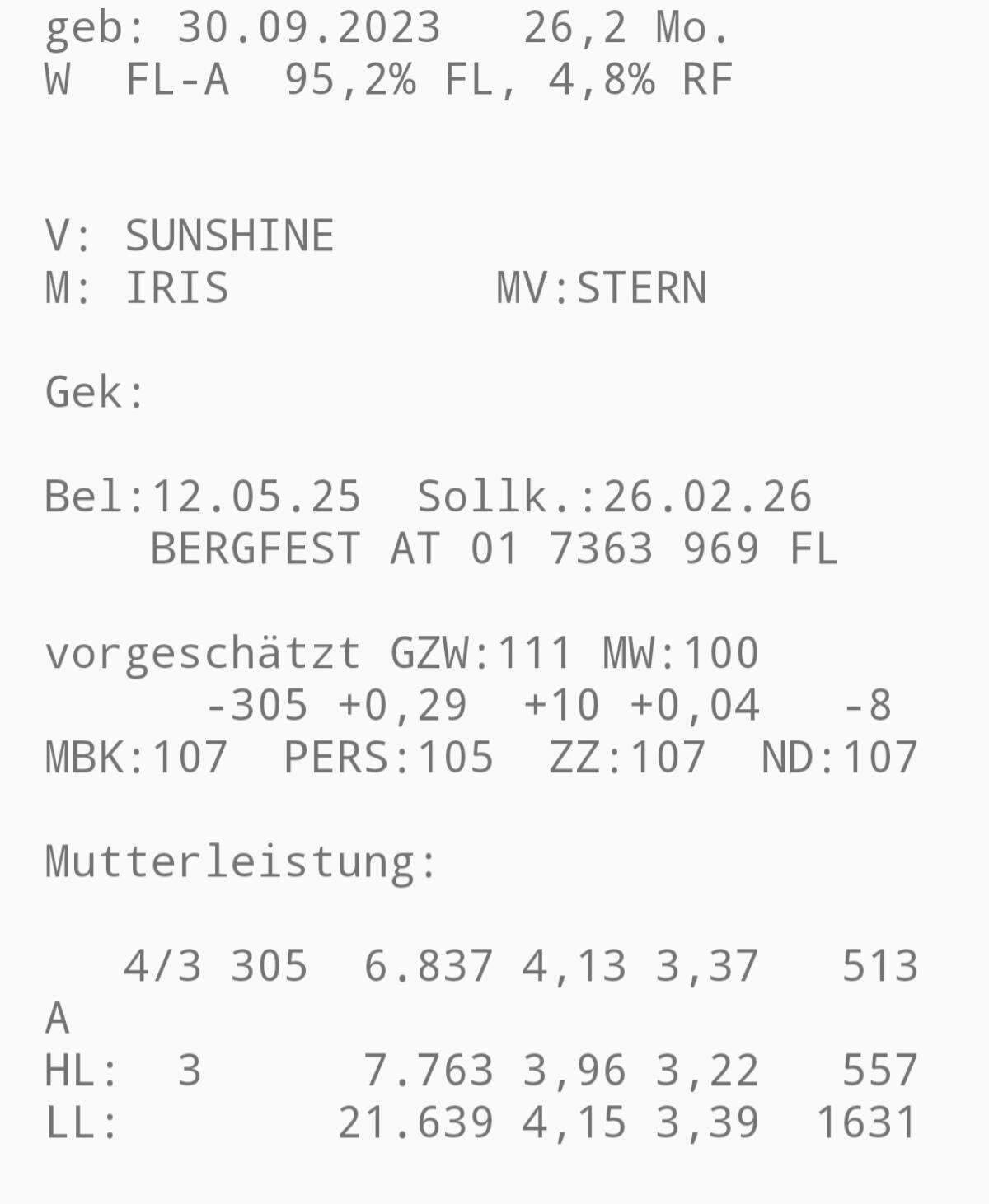 Verkaufe Fleckviehkalbin, trächtig 2