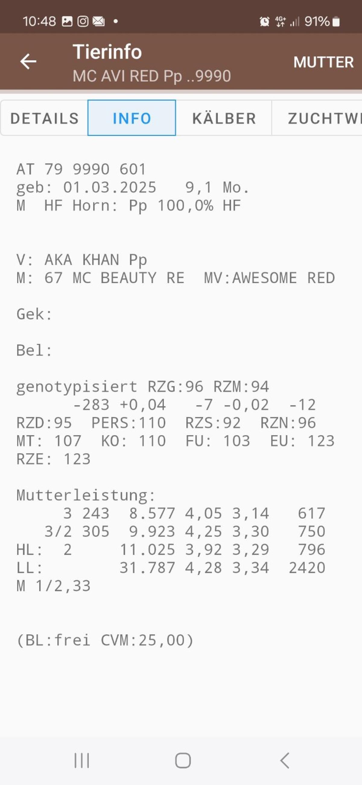 Verkaufe Red Holstein und Holstein Stiere 2
