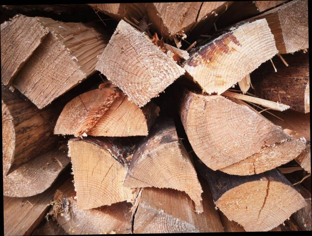 Brennholz hart und weich 1