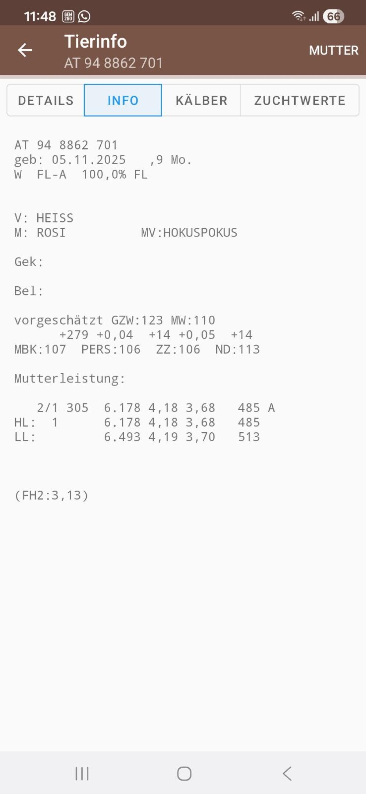Fleckviehzuchtkälber 3