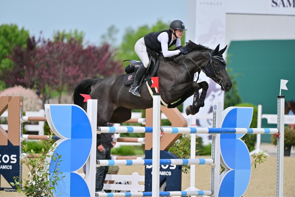 Bildhübsches Kämpferherz 3