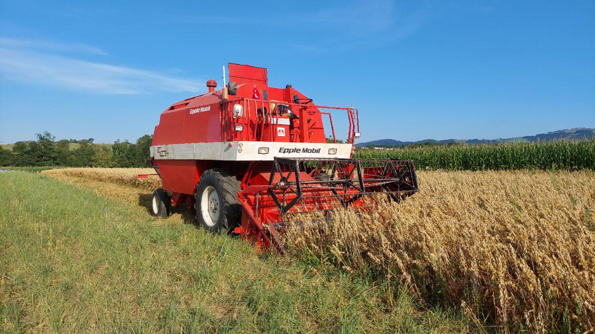 Mähdrescher Epple 1240 2