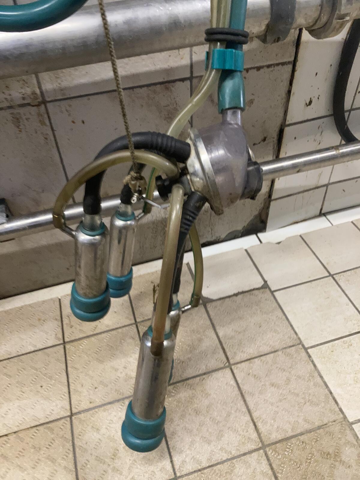 GEA Westfalia P21 Melkplatz 3