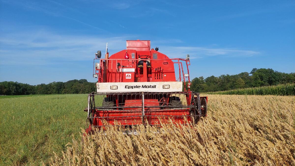 Mähdrescher Epple 1240 3