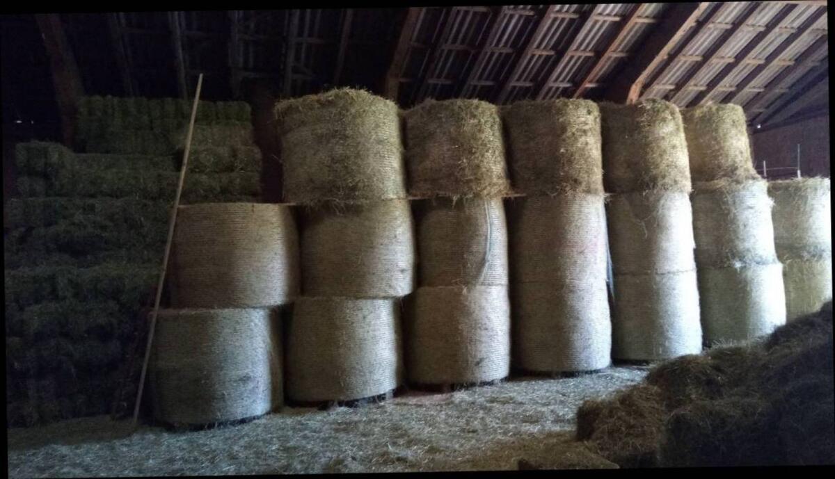 Heu 1–2. Schnitt 1