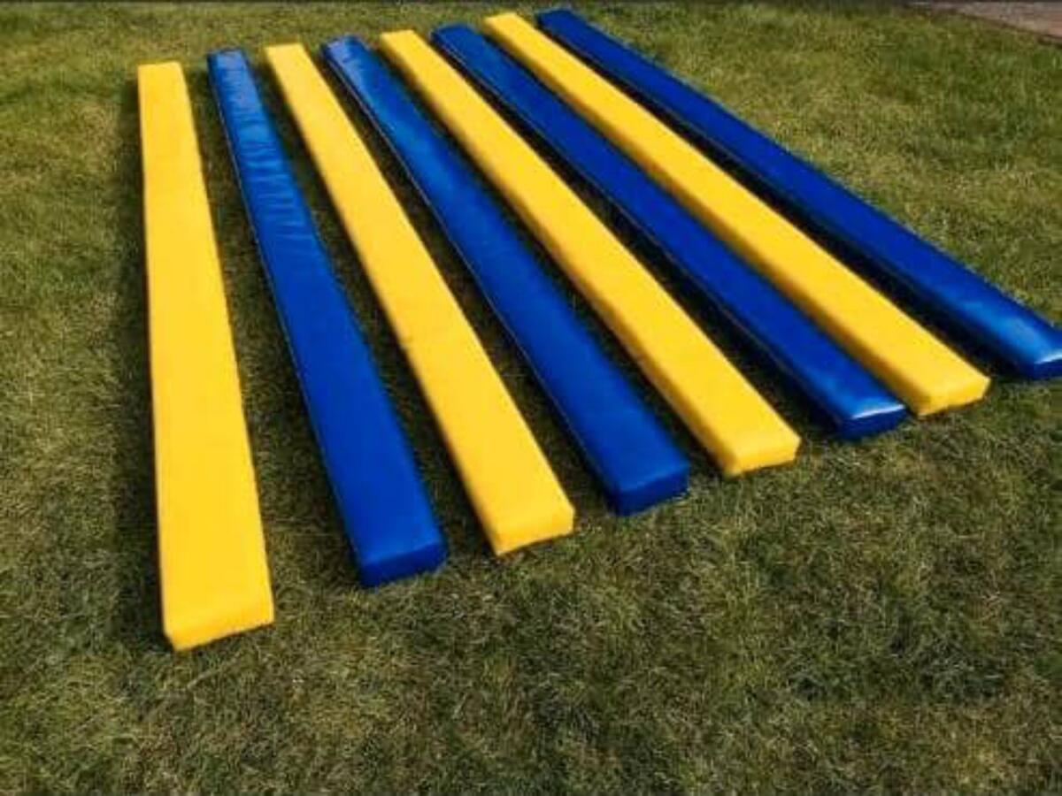 8x ZAR Dualgassen Pferdetraining Erziehung Bodenarbeit 3