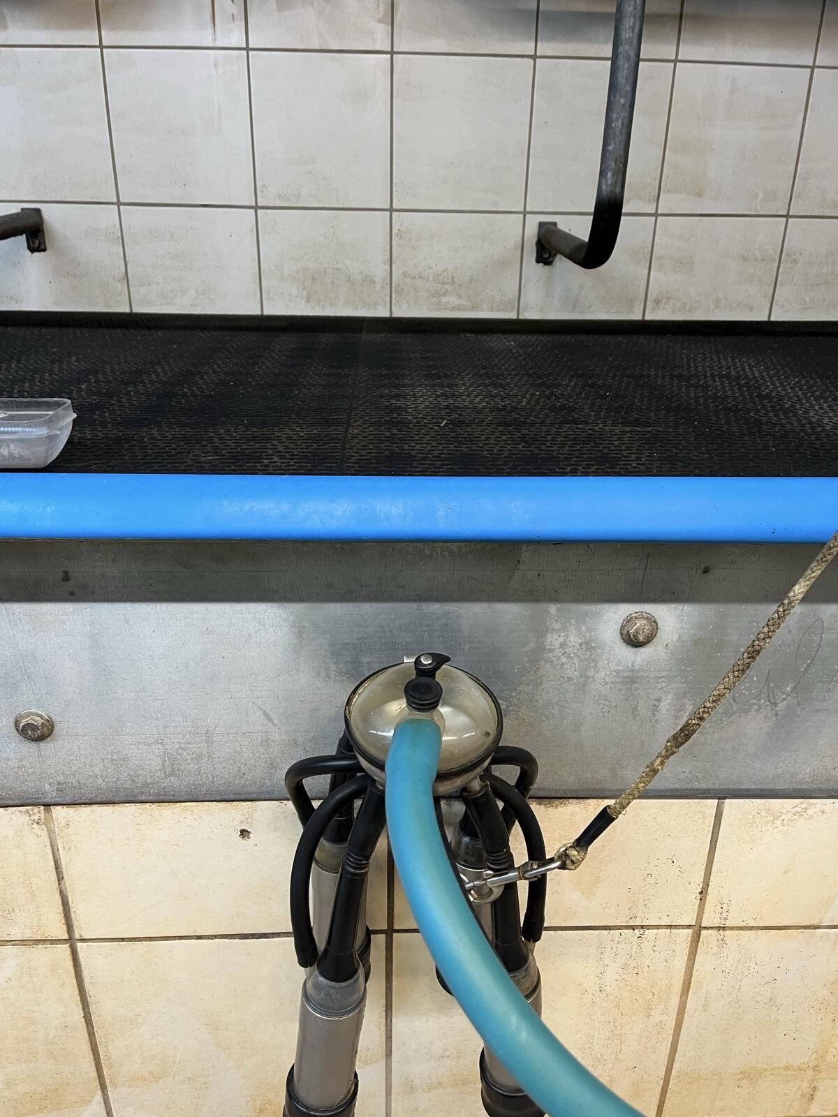 Melkstand Doppel 8 FG 3