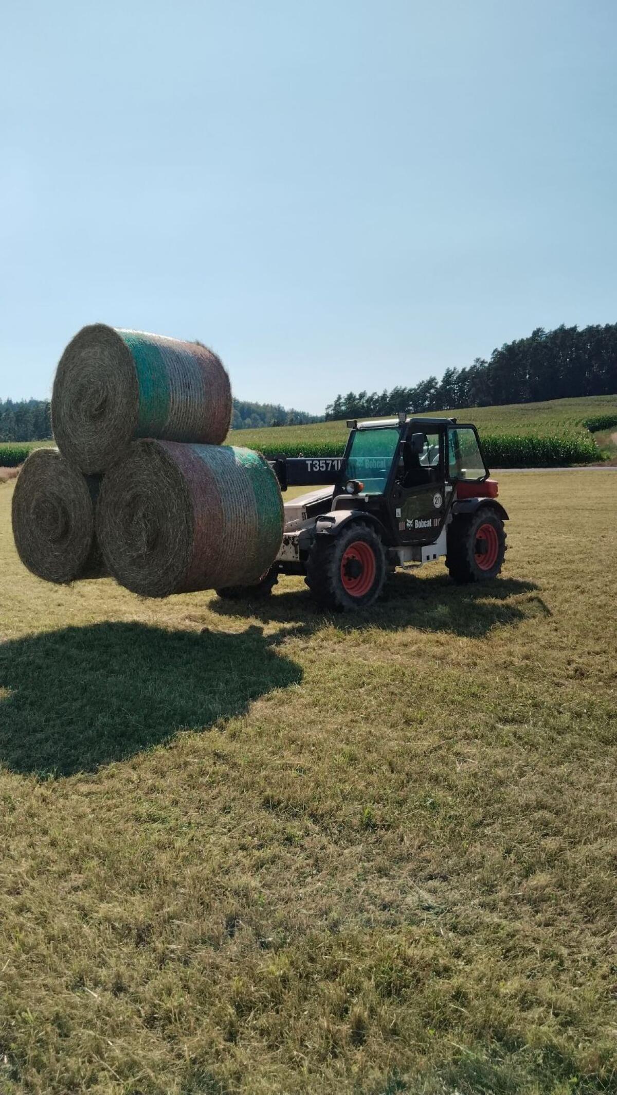 Bio Heu 1. Schnitt 2025 1