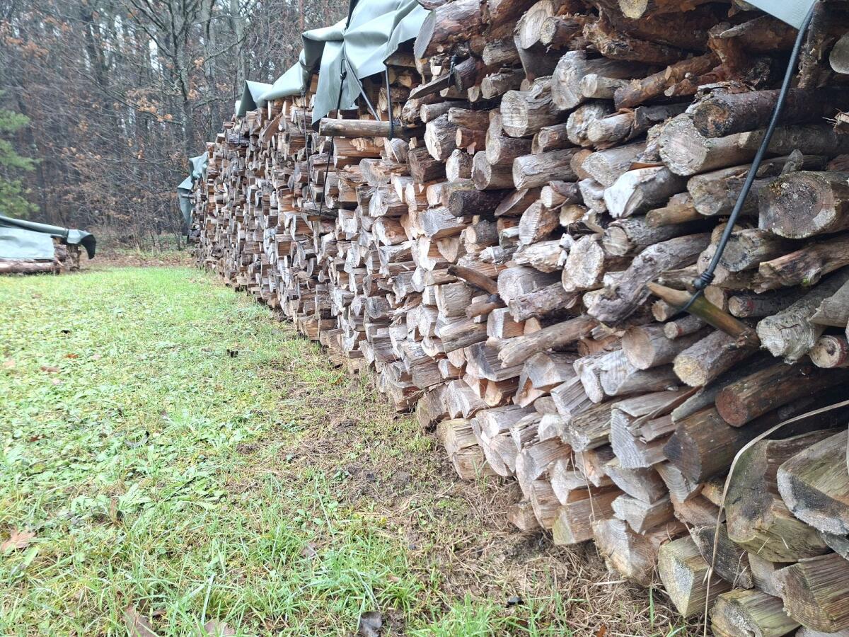 Brennholz Meterholz, Kiefer, 13 m 2