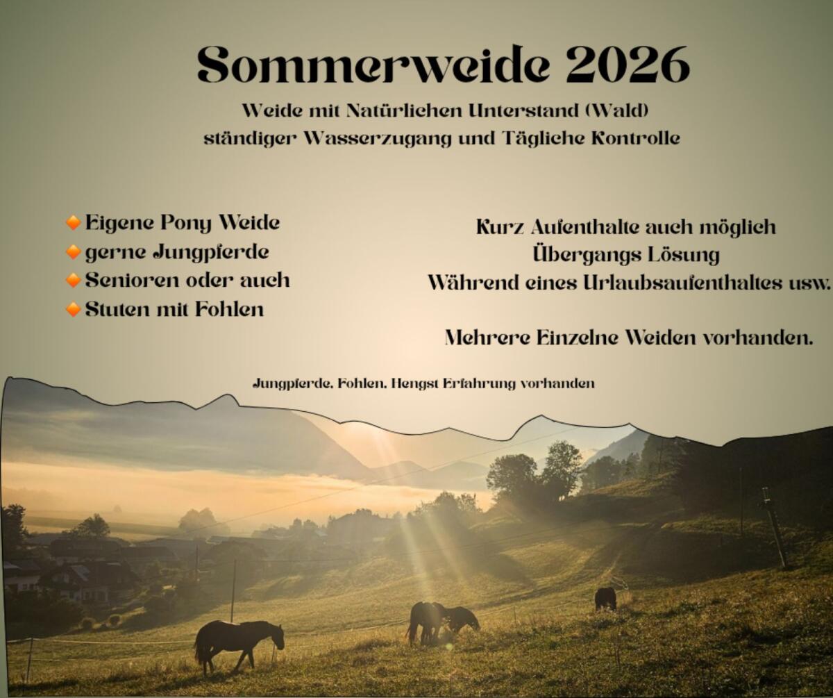 Sommerweide in Oberkärnten 1