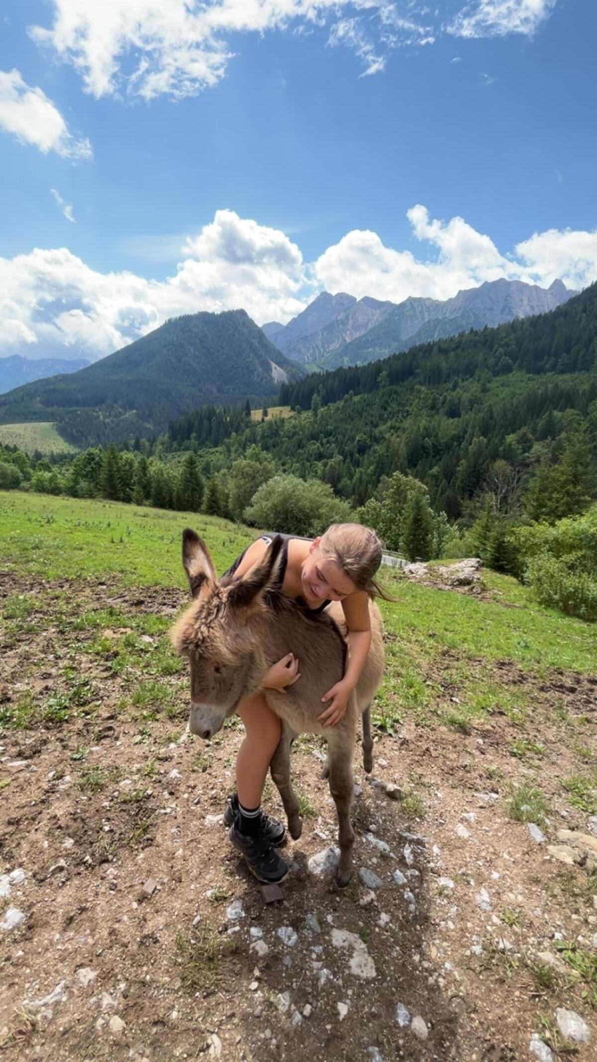 Hengstfohlen halbjährig zu verkaufen 3