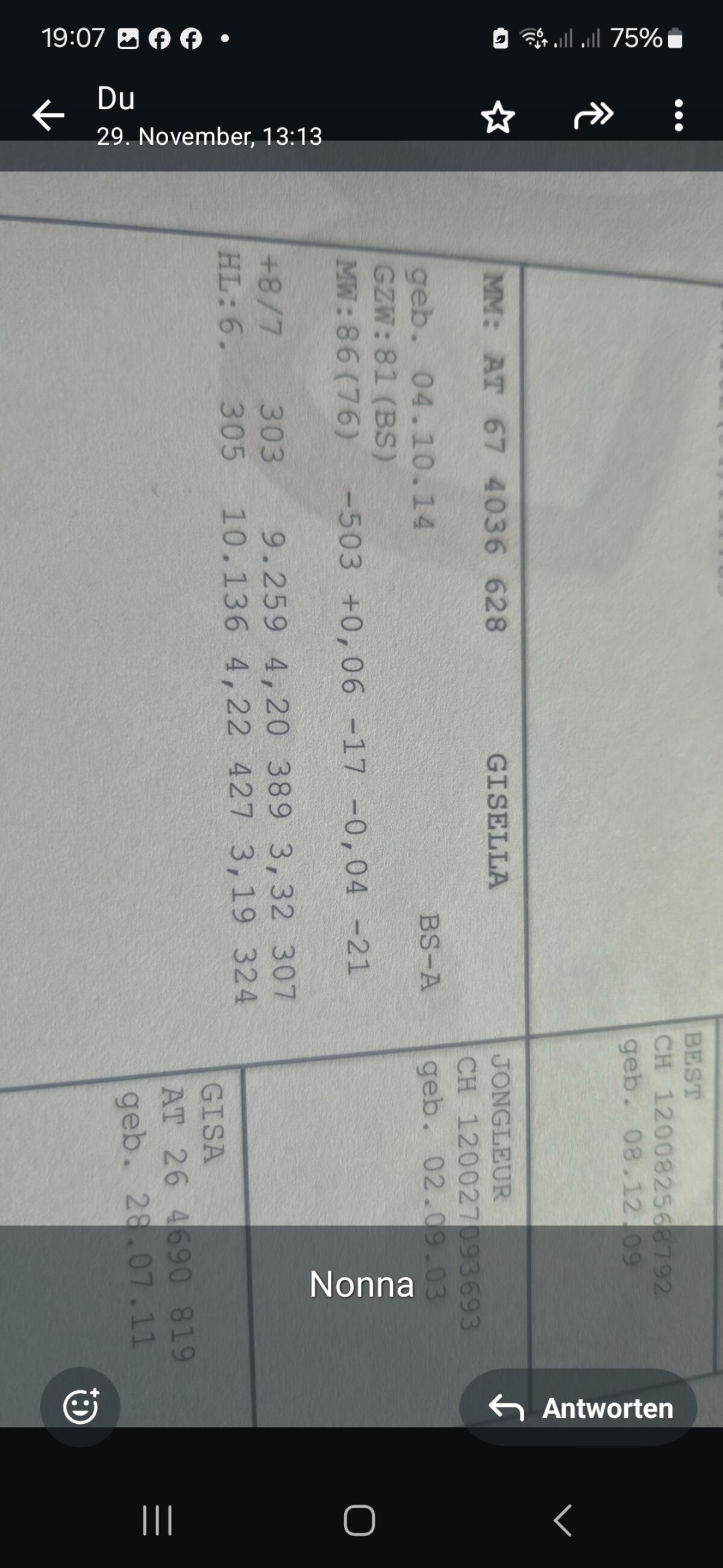 Jungkuh Vater Biniam zu verkaufen 2