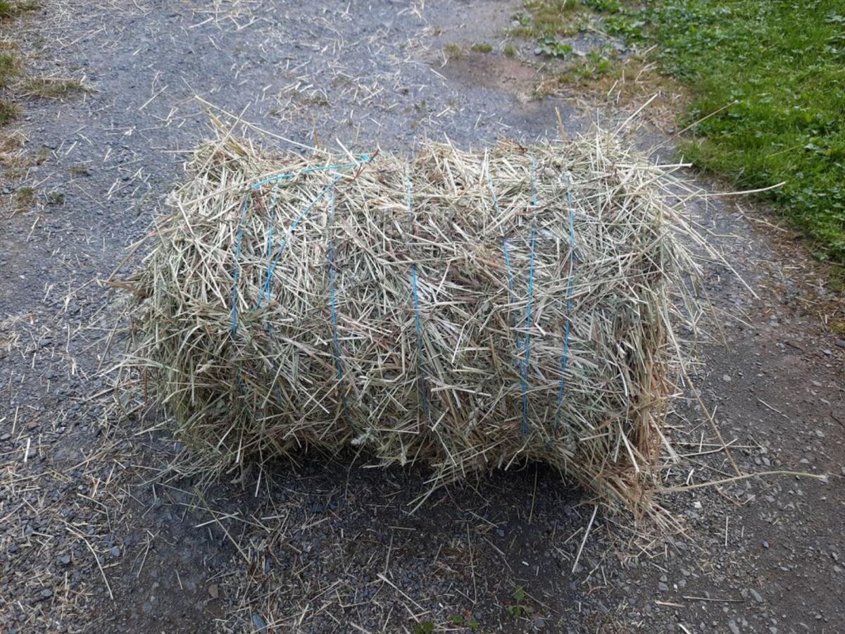 Kleine Heurundballen 1