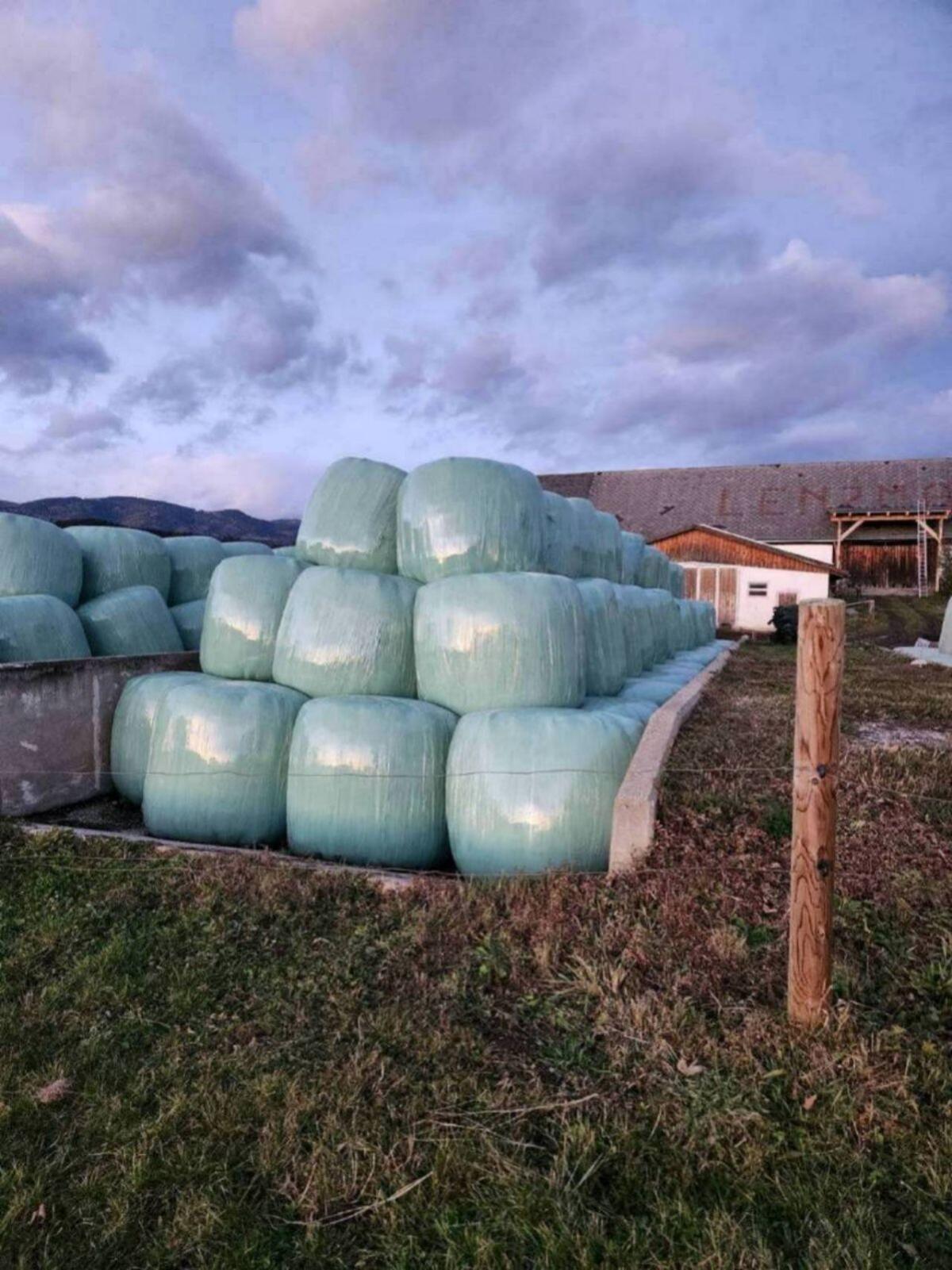 Bio Austria Siloballen 2