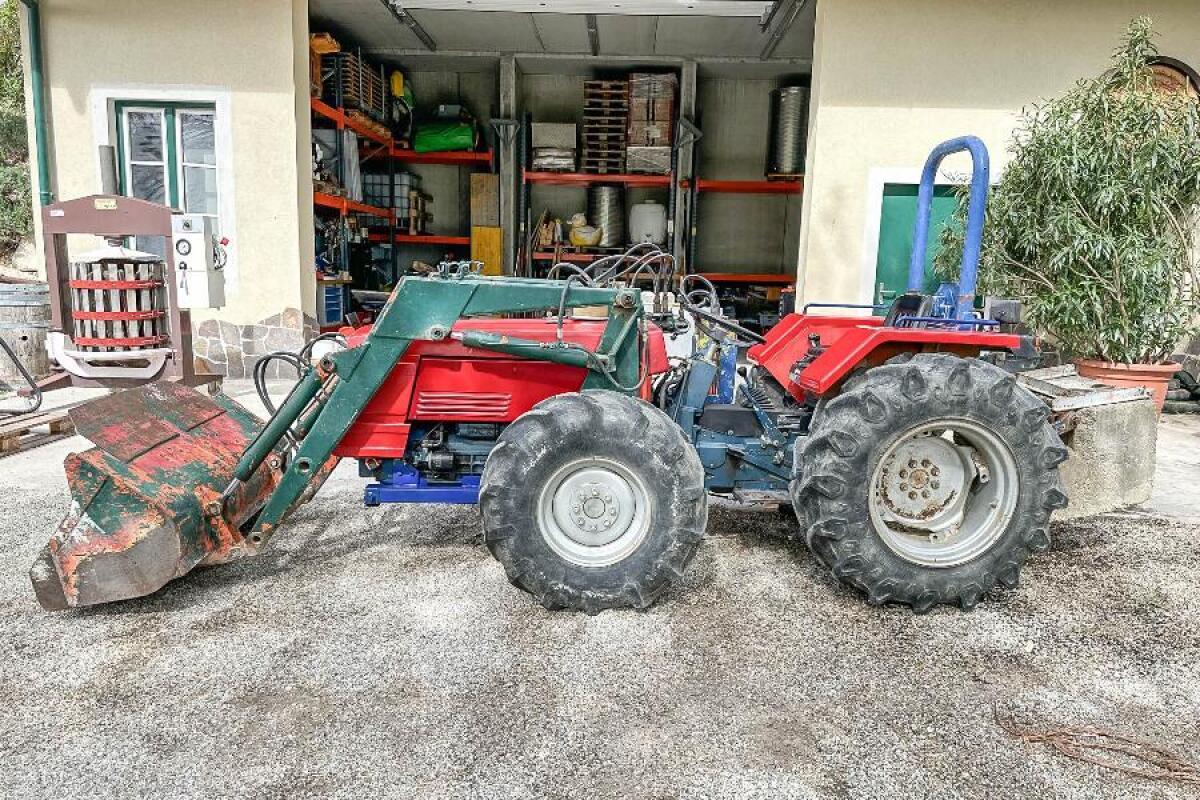 Weinbautraktor mit Frontlader Carraro Tigrone Tipo 7000 3