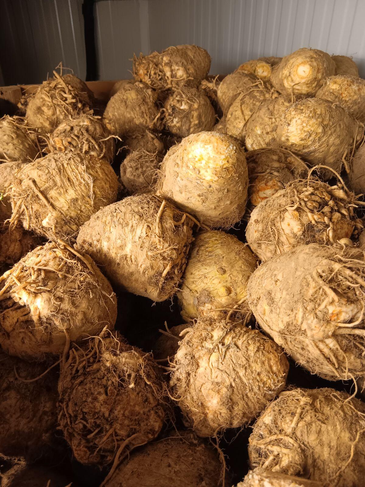 Bio-Gemüse, Kartoffeln 1