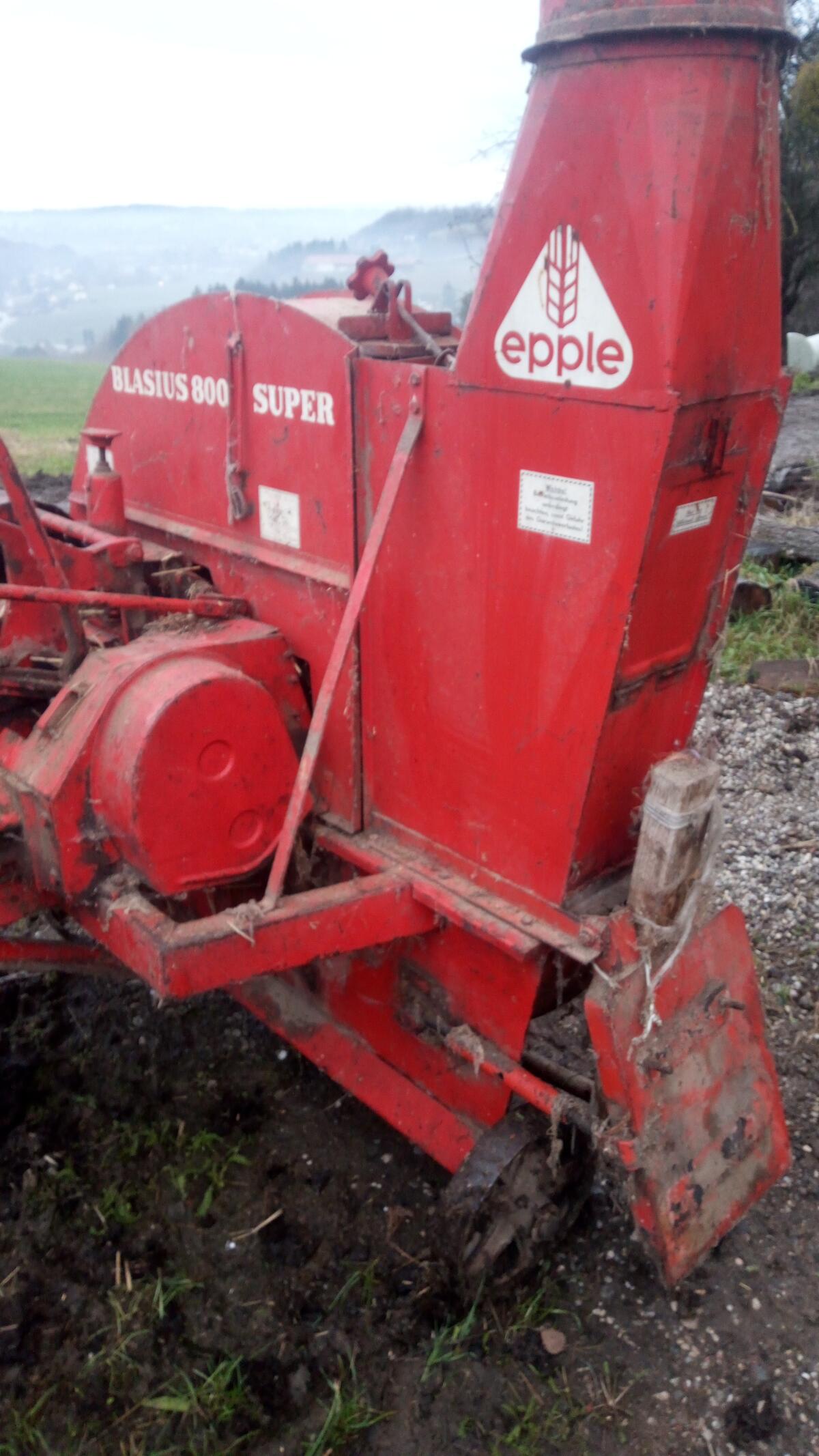 Epple Blasius 800 1