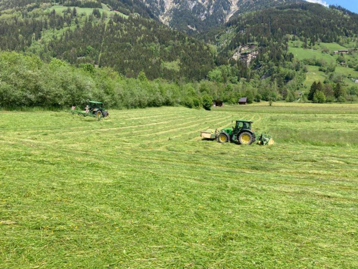 Praktikant/in gesucht für Familienbetrieb im Gasteinertal 1