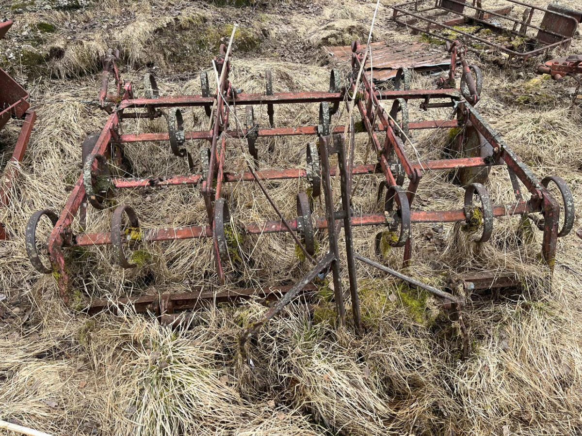 Ältere Schleppegge 1