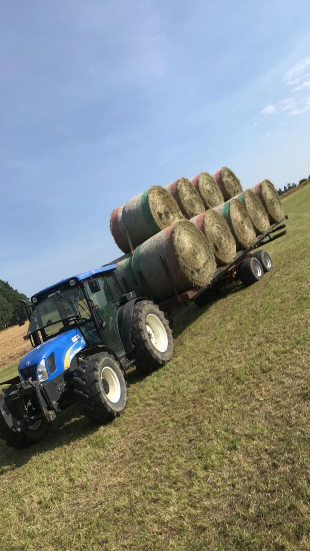 Bio Heu 1. Schnitt 2025 2