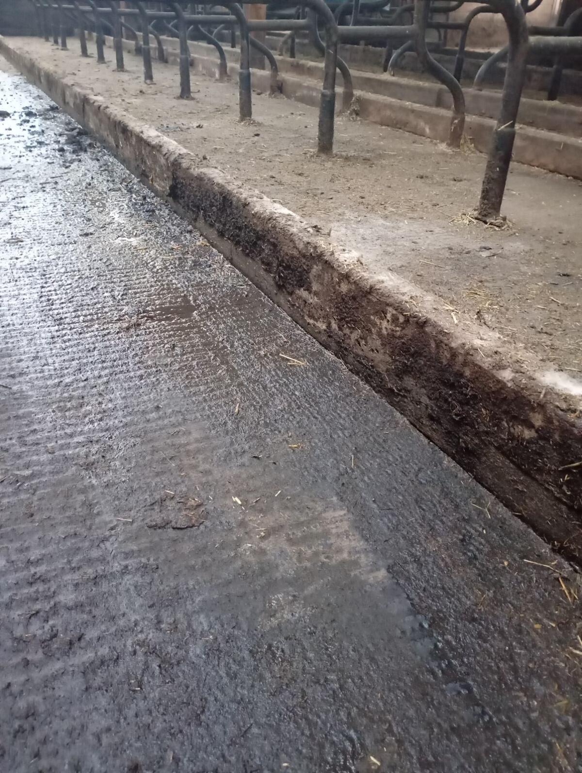 Liegeboxen Streuschwellen Beton-Kante 2