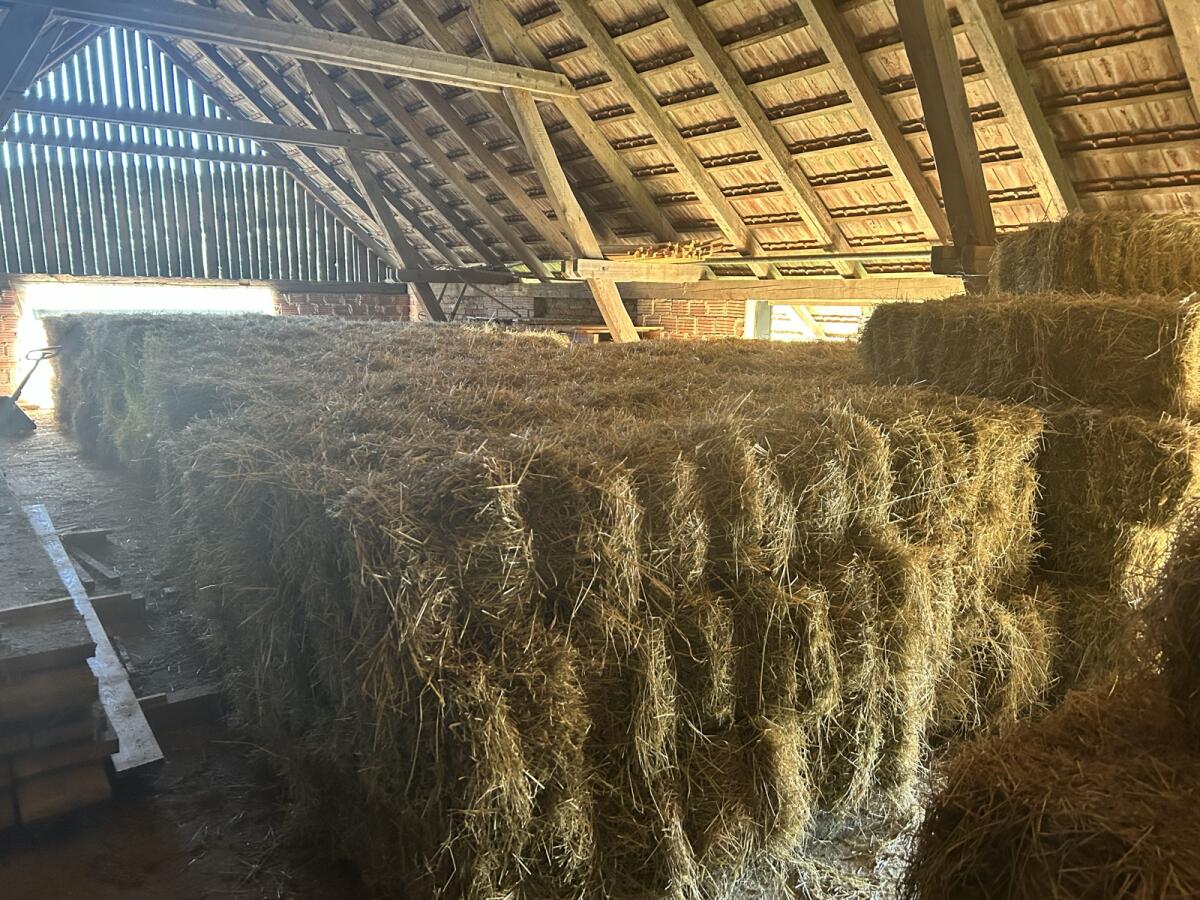 Heu Heuballen Kleinballen 1