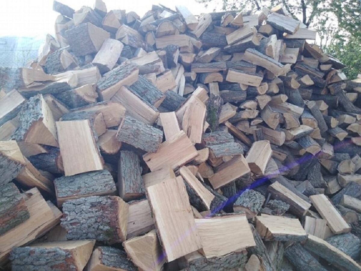 Brennholz – Kiefer, Eiche uvm. 1