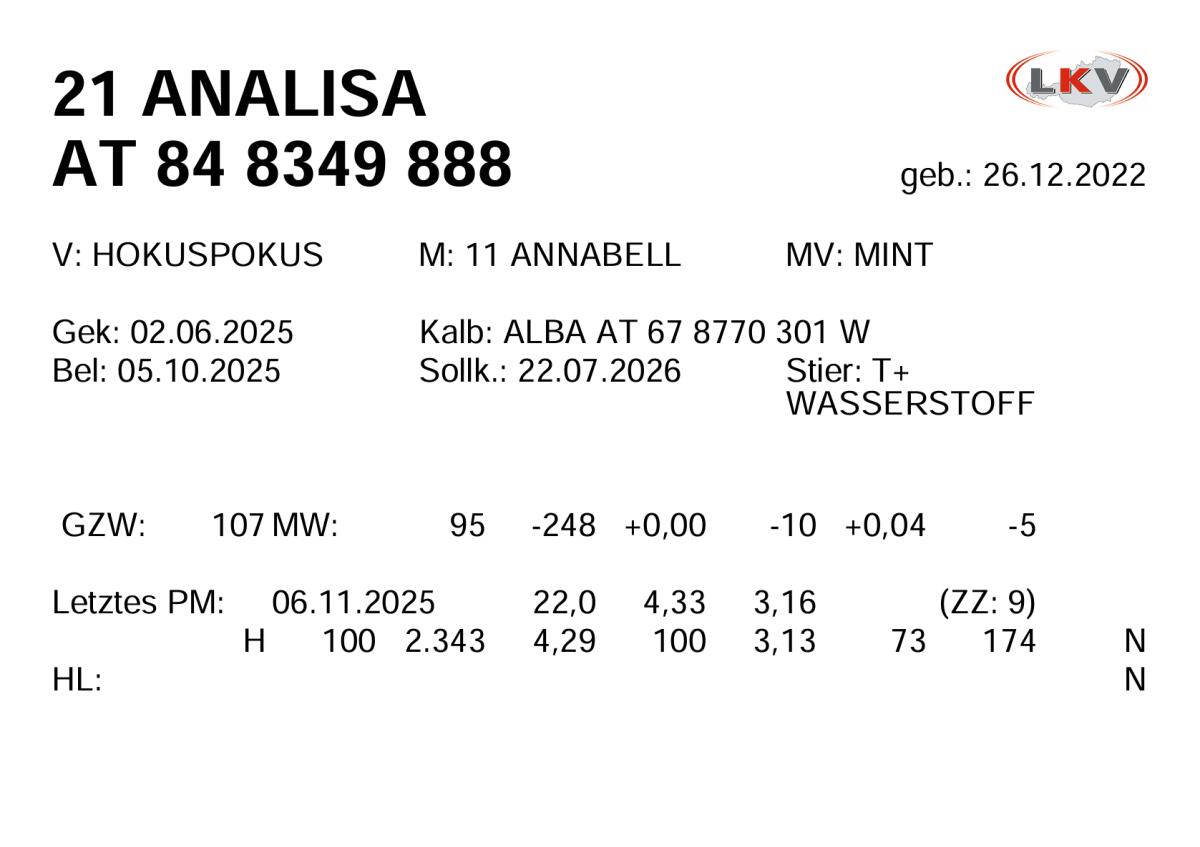 Biete Kühe und Kalbinnen zum Kauf 2