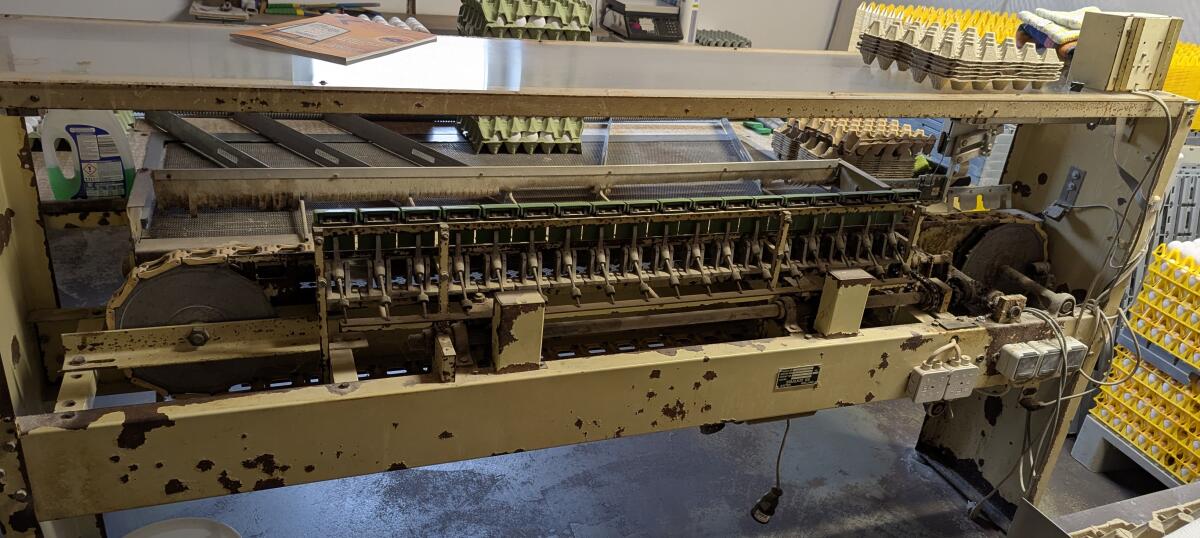 3-reihige Eier-Sortiermaschine Staalkat 1