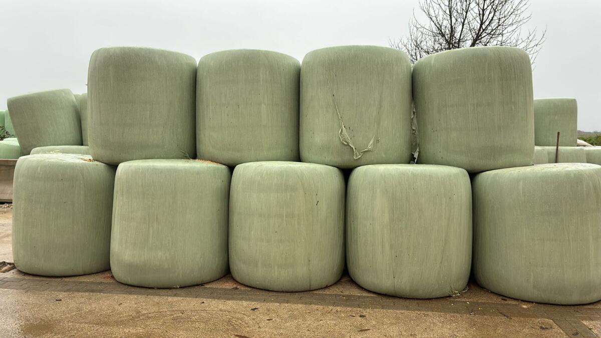 Maisballen Mais Rundballen Silo 1