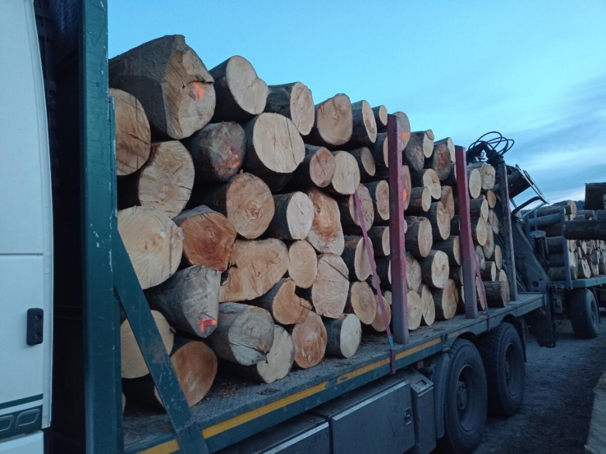 Abgelagertes Kaminholz 1