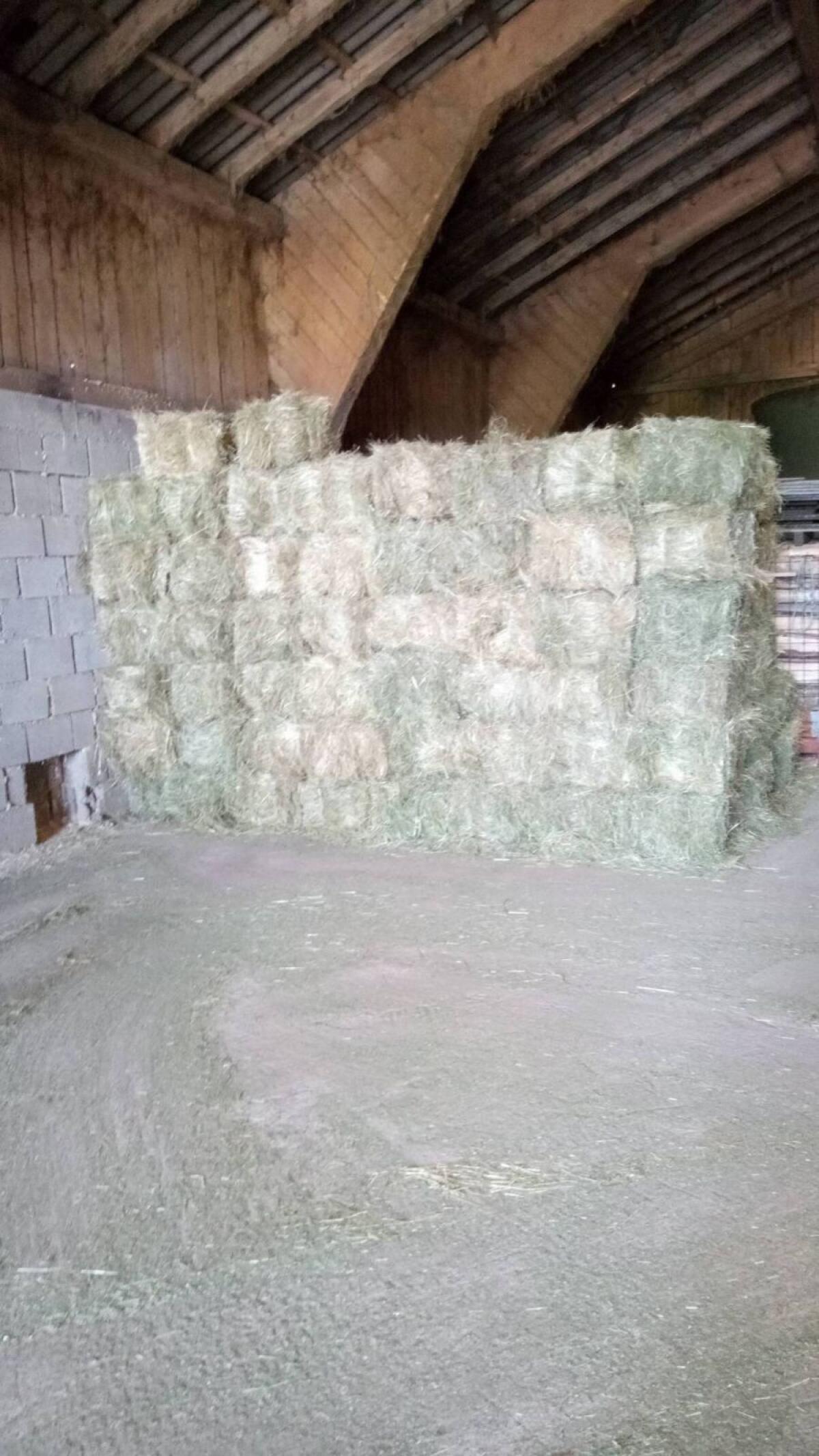 Heu 1–2. Schnitt 2