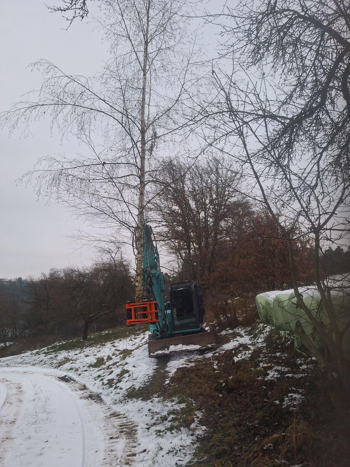 Energieholzernte und Vermietung KX Fällgreifer 1