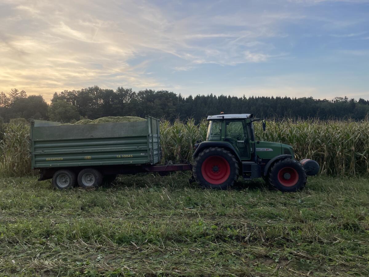 Bio Silomaisballen 1