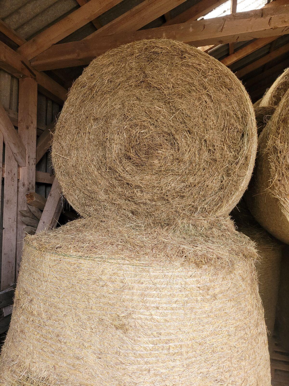 Heu zu verkaufen 1