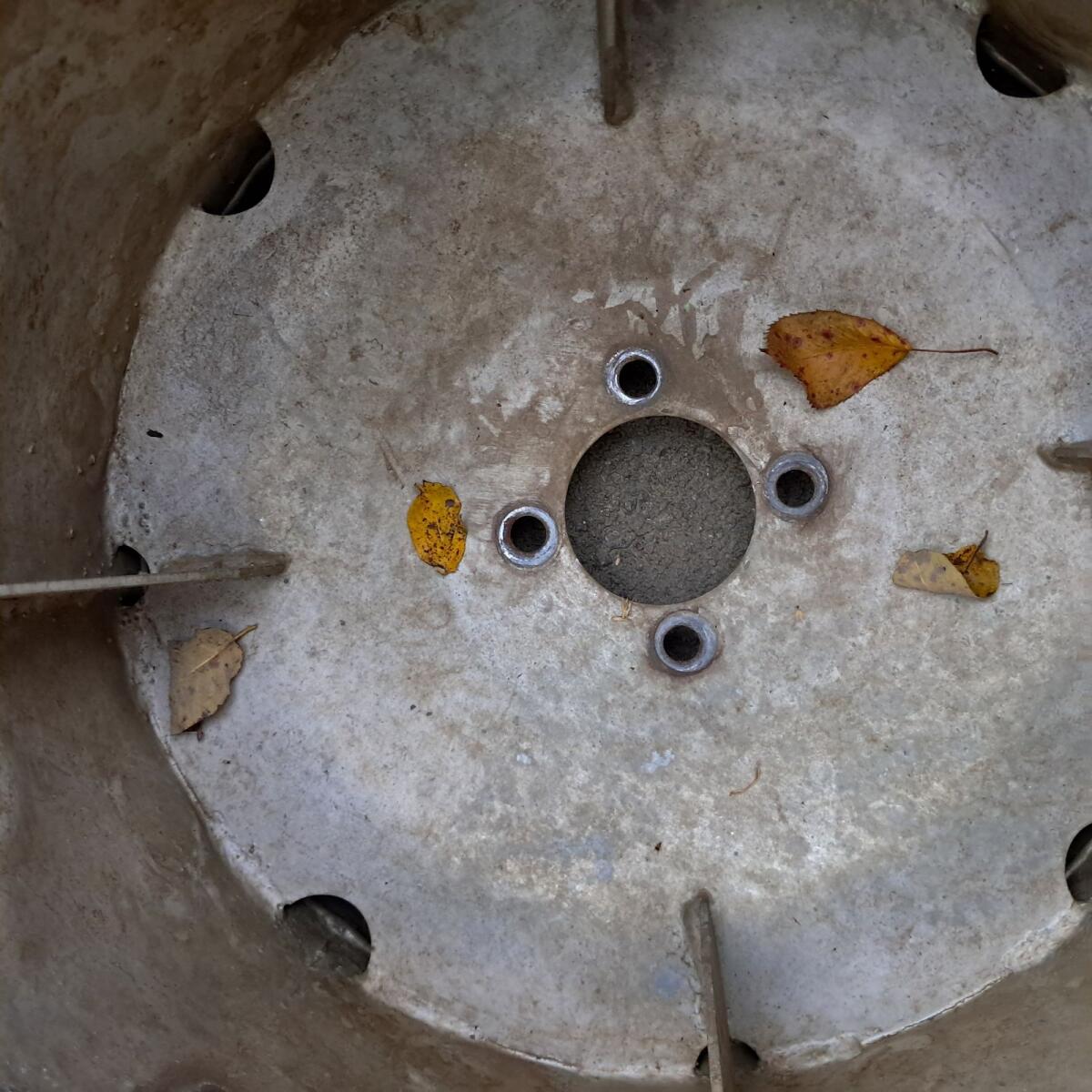 Stachelwalzen zu Aebi 2