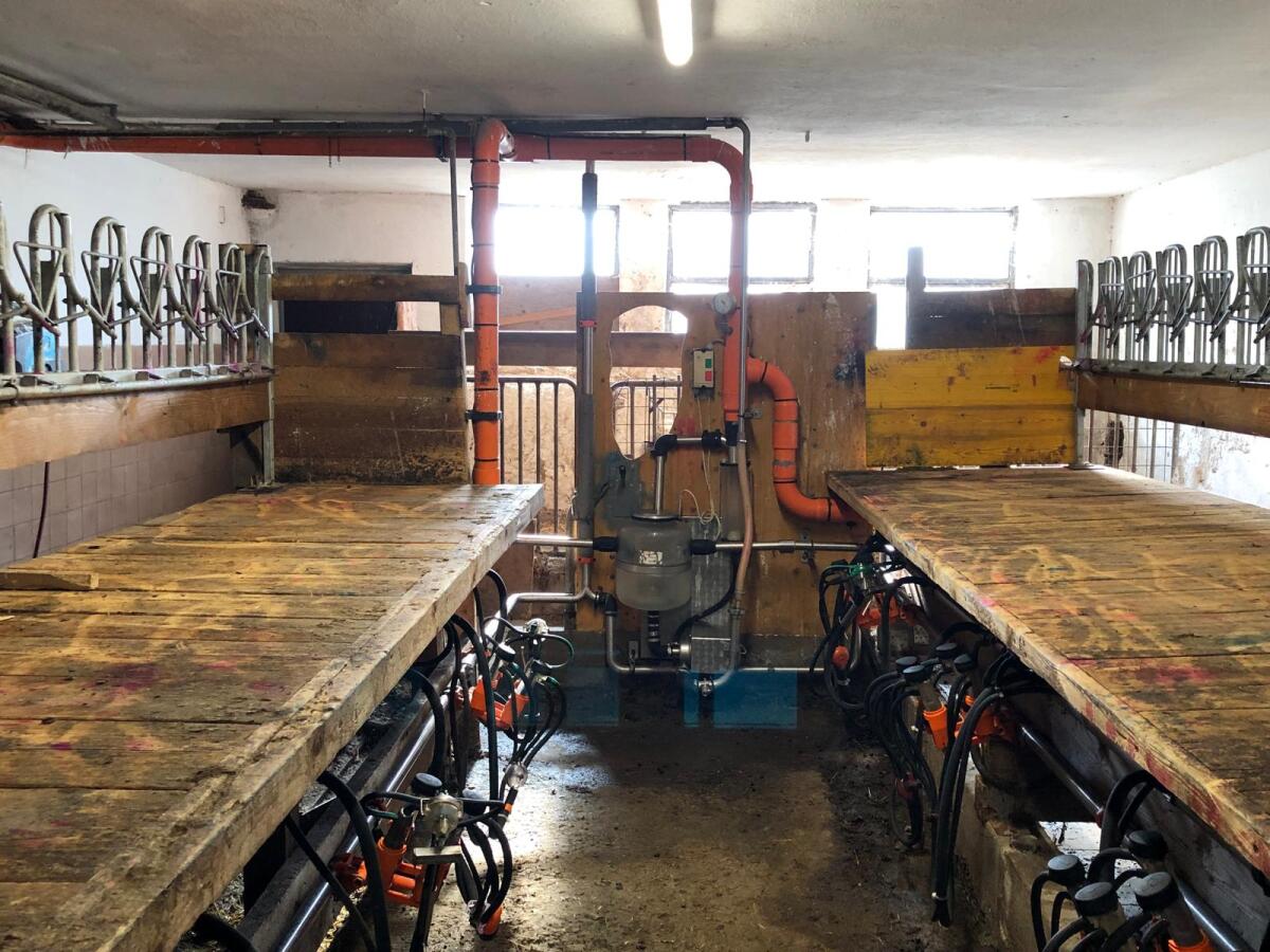 Melotte Ziegen-Melkanlage + Waschautomat 3